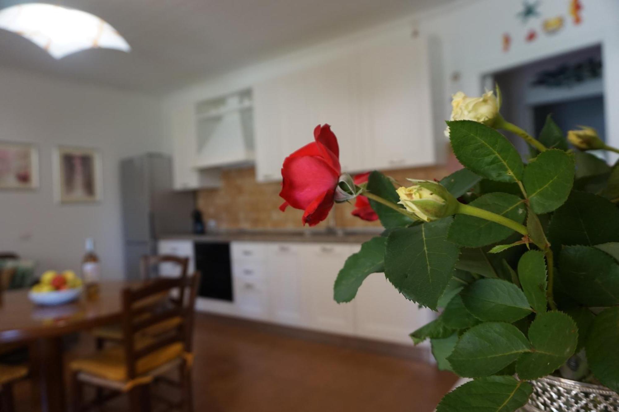 Rosanna House In Bombarde Beach Alghero Dış mekan fotoğraf