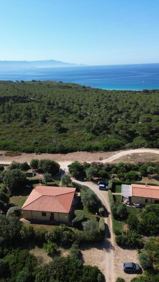 Rosanna House In Bombarde Beach Alghero Dış mekan fotoğraf